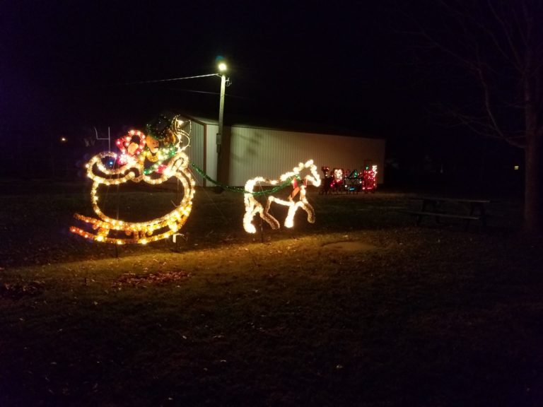 Lighted sleigh and reindeer display in the park at night