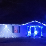 BRENDA MCNEECE HOLIDAY LIGHTS